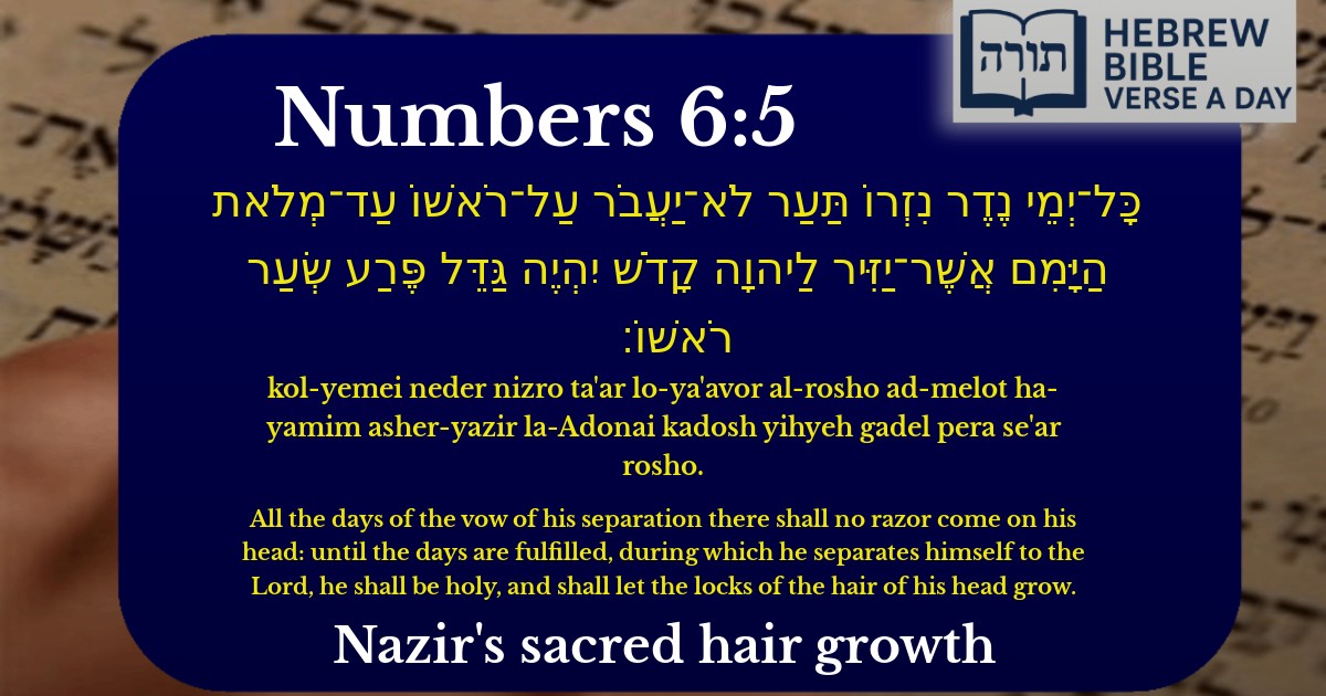 Numbers 6:5 - במדבר 6:5