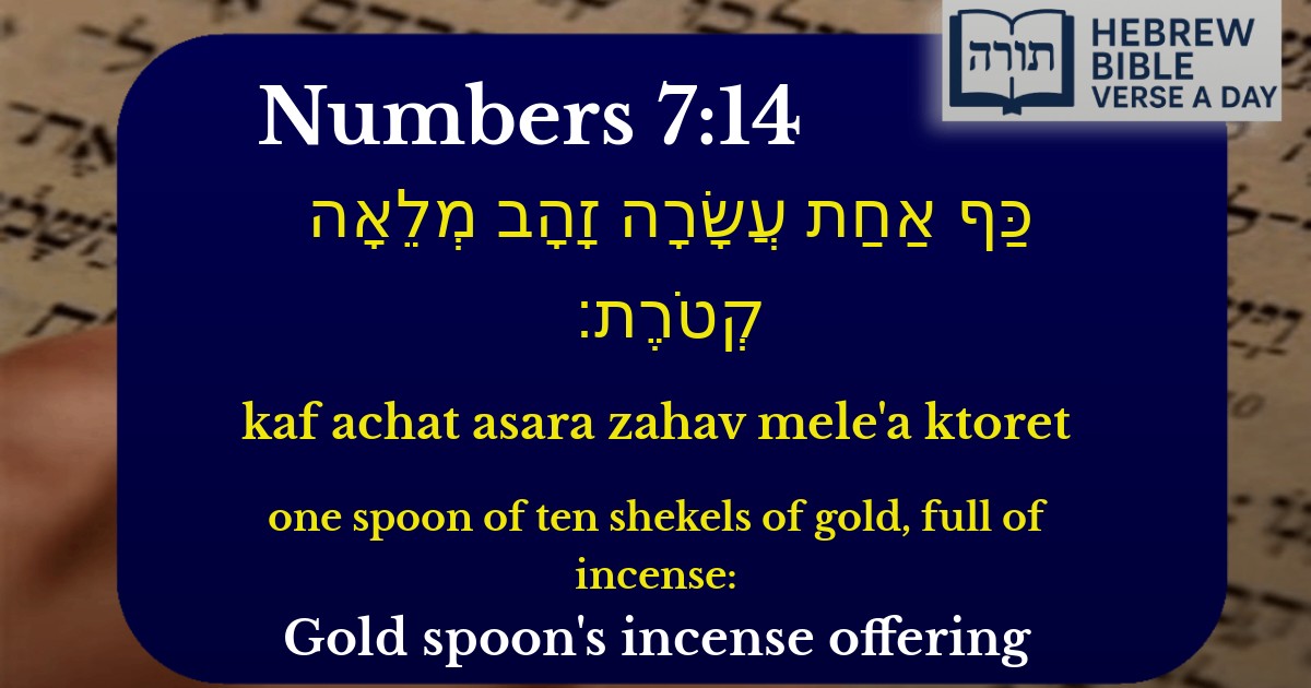 Numbers 7:14 - במדבר 7:14