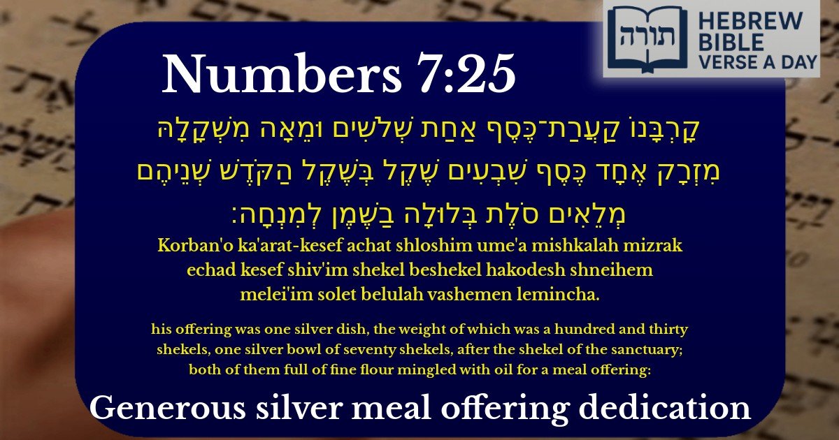 Numbers 7:25 - במדבר 7:25
