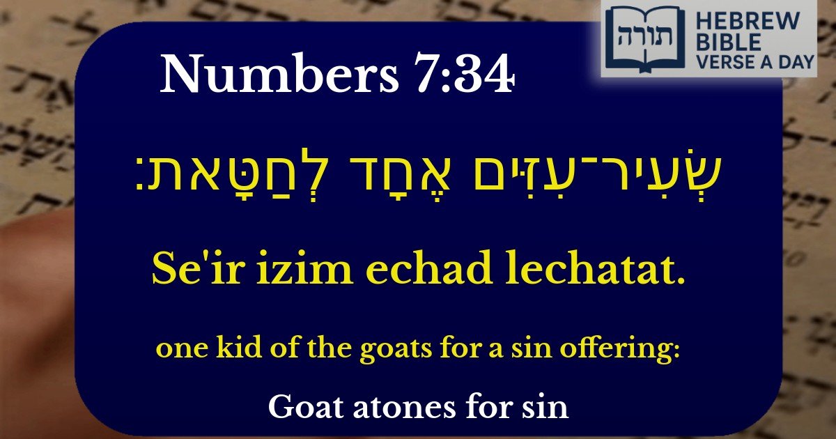Numbers 7:34 - במדבר 7:34