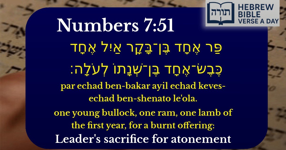 Numbers 7:51 - במדבר 7:51