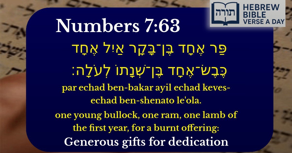 Numbers 7:63 - במדבר 7:63