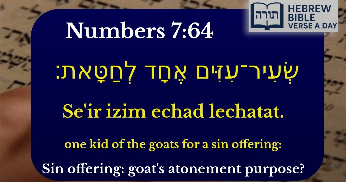 Numbers 7:64 - במדבר 7:64
