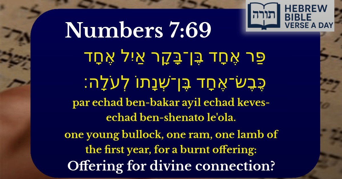 Numbers 7:69 - במדבר 7:69