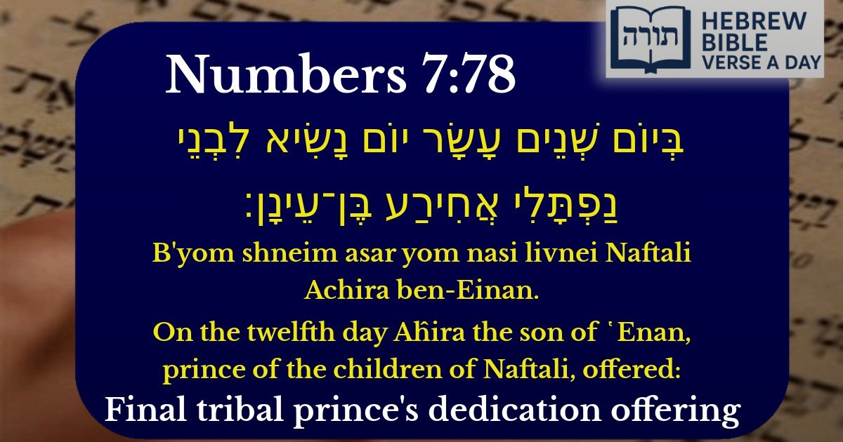 Numbers 7:78 - במדבר 7:78