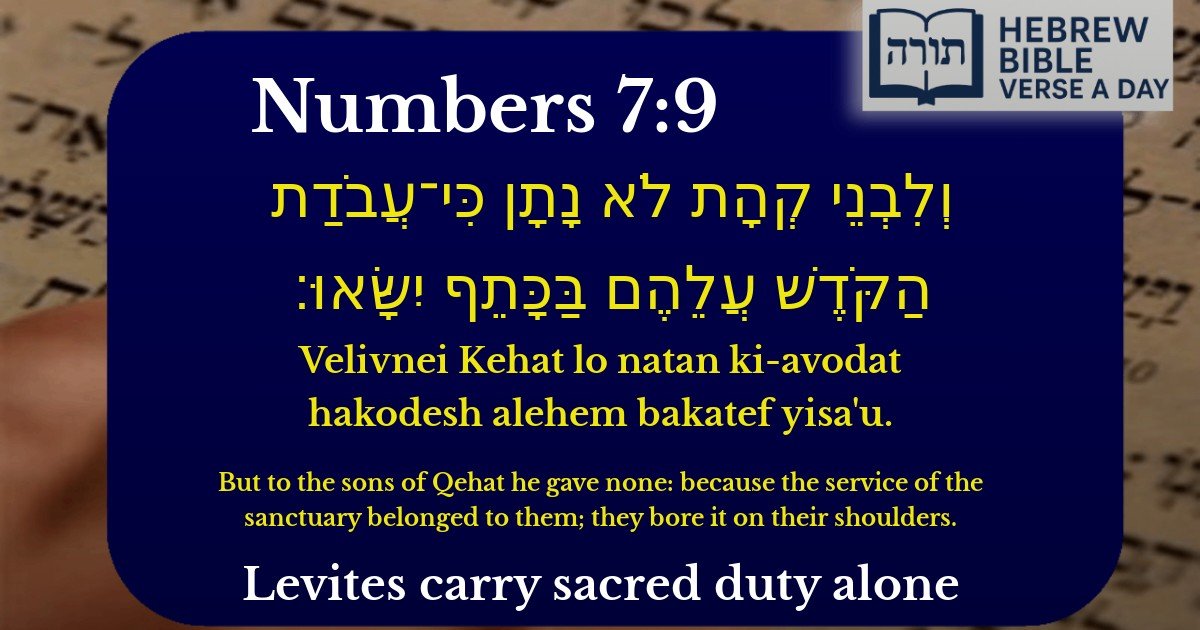 Numbers 7:9 - במדבר 7:9