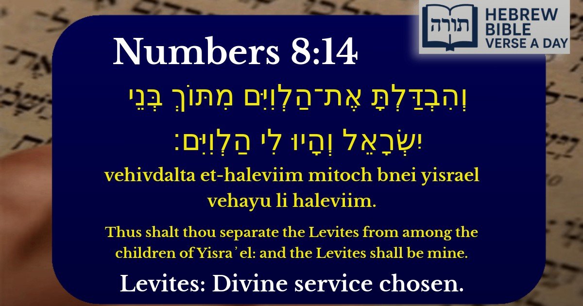 Numbers 8:14 - במדבר 8:14