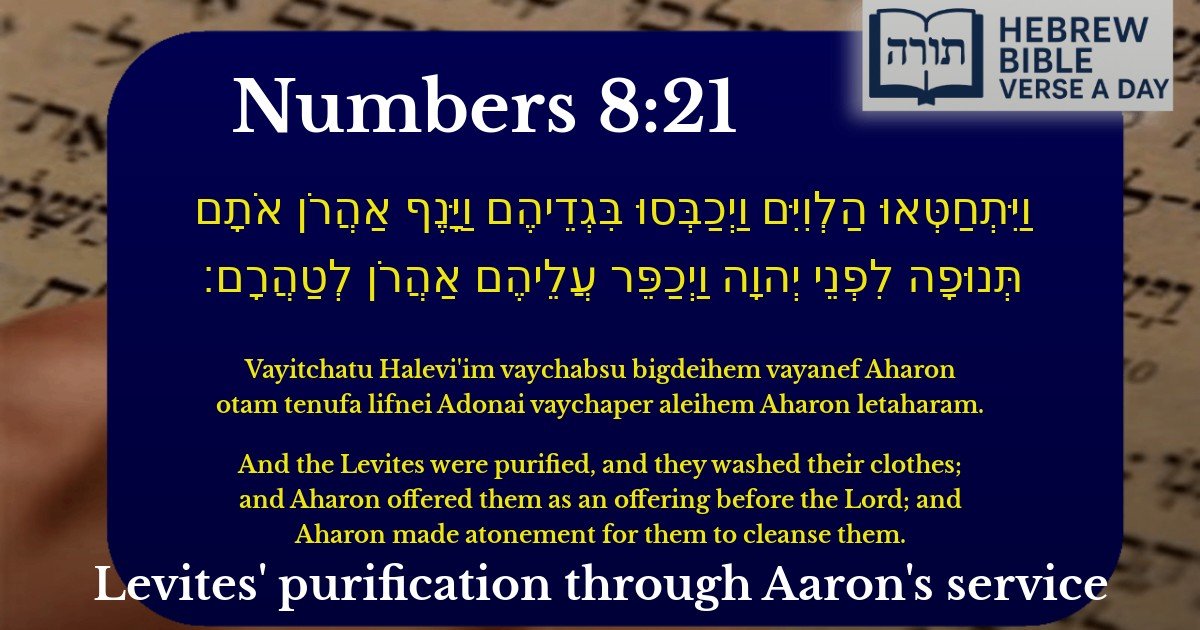 Numbers 8:21 - במדבר 8:21