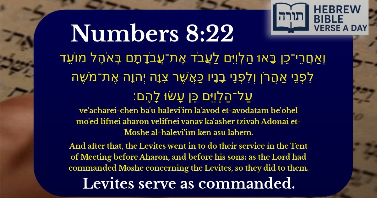 Numbers 8:22 - במדבר 8:22