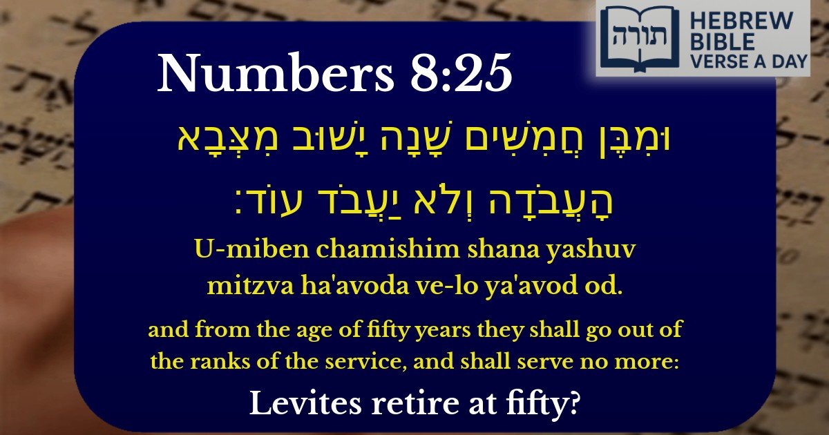 Numbers 8:25 - במדבר 8:25