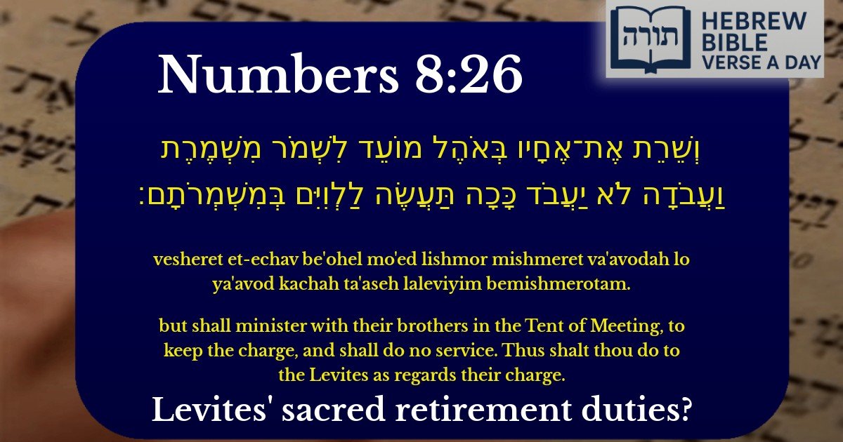 Numbers 8:26 - במדבר 8:26