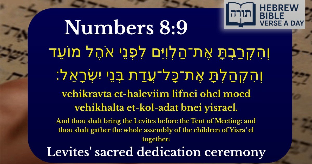 Numbers 8:9 - במדבר 8:9