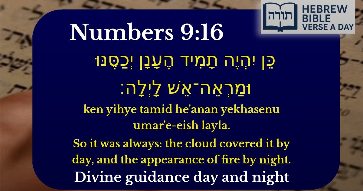 Numbers 9:16 - במדבר 9:16