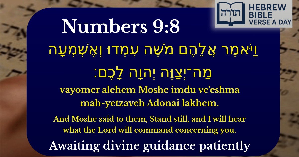 Numbers 9:8 - במדבר 9:8